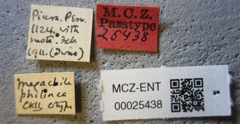 Media type: image;   Entomology 25438 Aspect: labels